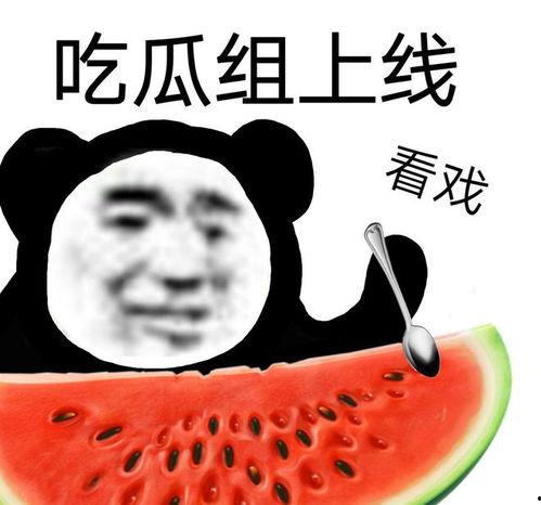 吃瓜公司的日常,揭秘日常生活中的趣味八卦  第1张